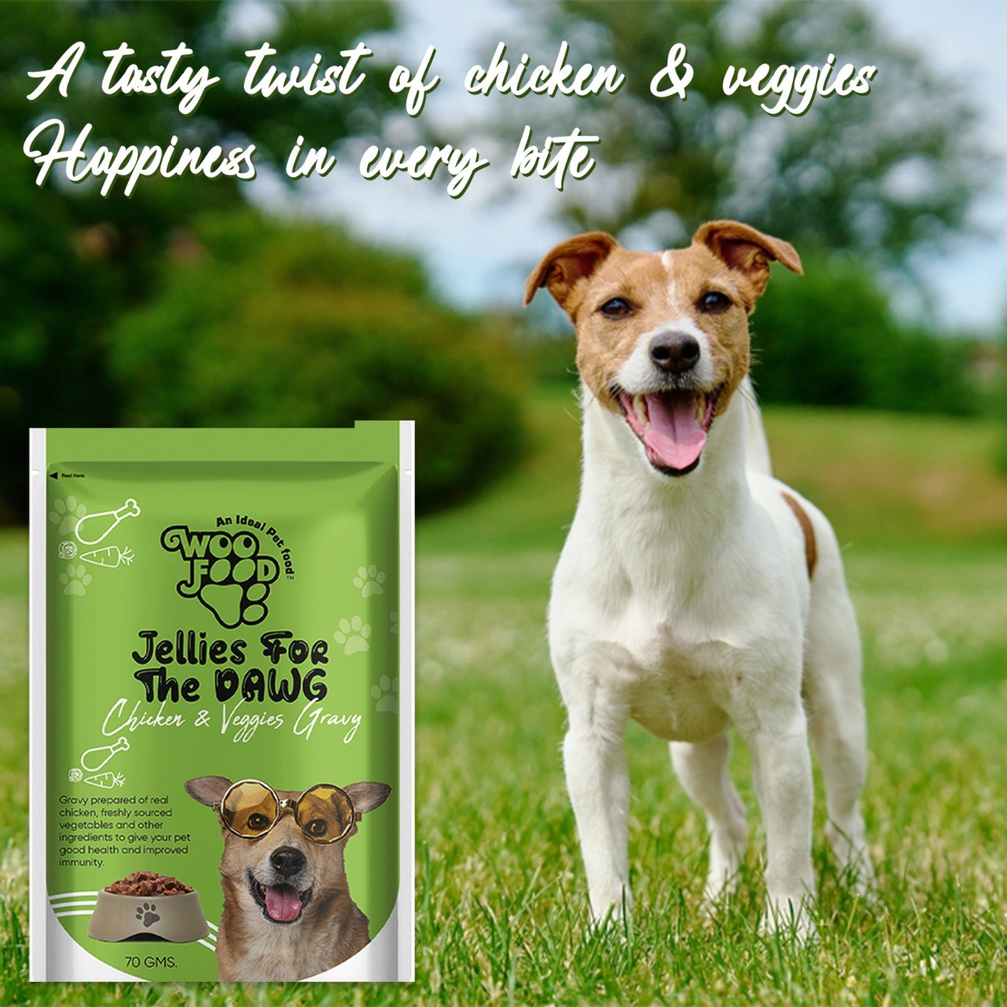 WooFood Chicken & Veggies Gravy (Jellies for Dogs) -70gm ( Pack of 5)